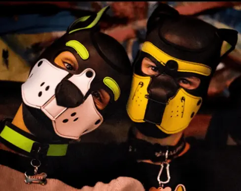 What is Pup Culture? Exploring the Meaning of Pup in Gay Culture -
